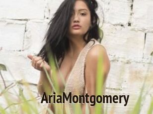 AriaMontgomery