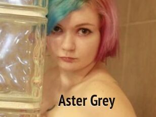 Aster_Grey