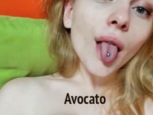 Avocato