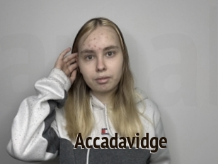 Accadavidge