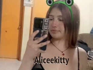 Aliceekitty