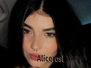 Alicerosi