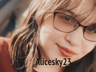Alicesky23