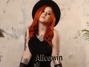 Alicewin