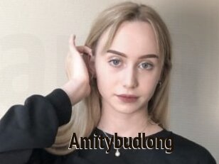 Amitybudlong