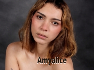 Amyalice