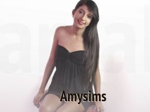 Amysims