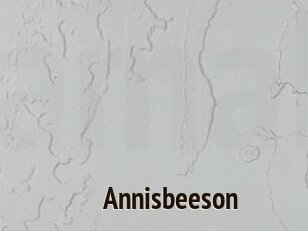 Annisbeeson