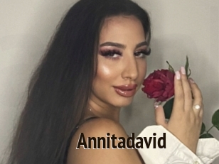 Annitadavid