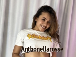 Anthonellarosse