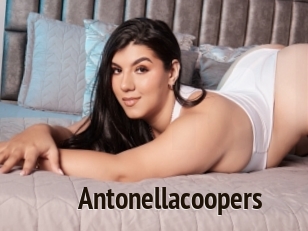 Antonellacoopers