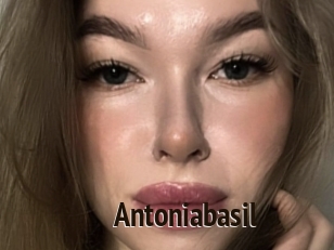 Antoniabasil