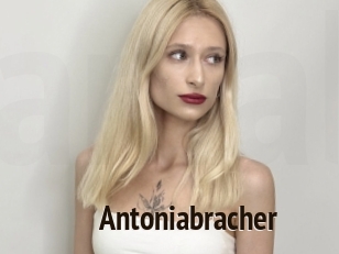 Antoniabracher