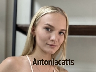 Antoniacatts