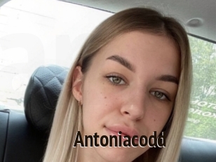 Antoniacodd