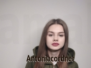 Antoniacordner