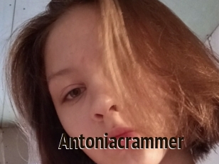 Antoniacrammer