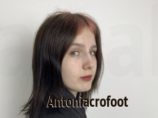 Antoniacrofoot