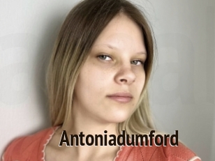 Antoniadumford