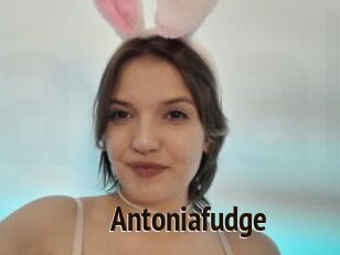 Antoniafudge