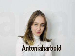 Antoniaharbold