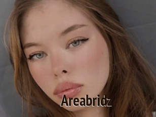 Areabridz