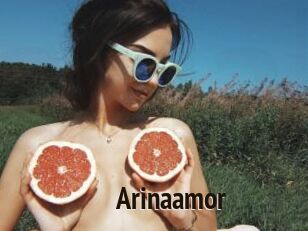 Arinaamor