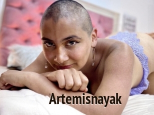 Artemisnayak
