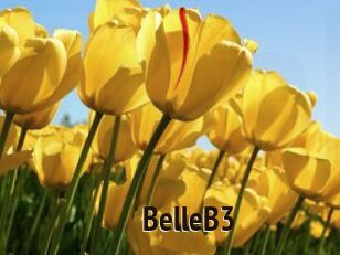 BelleB3