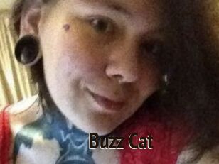 Buzz_Cat