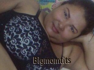 Bigmomtits