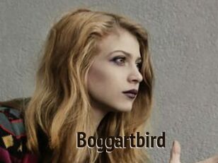 Boggartbird