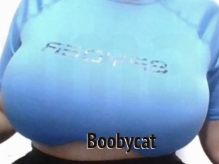 Boobycat