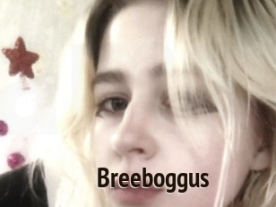 Breeboggus