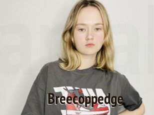 Breecoppedge