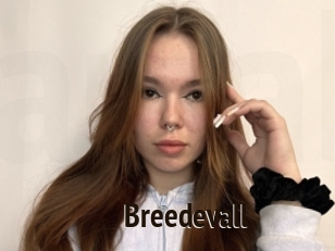 Breedevall