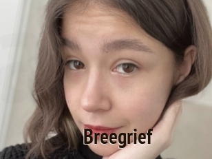 Breegrief