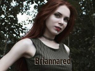 briannared Amatrice Blog