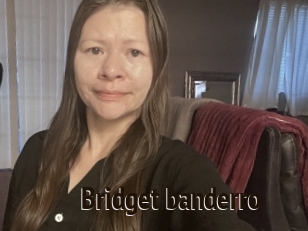 Bridget_banderro