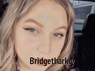 Bridgetharkey