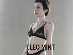 CLEO_MINT