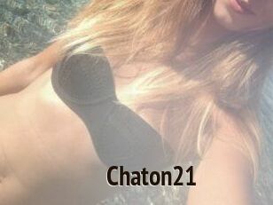 Chaton21