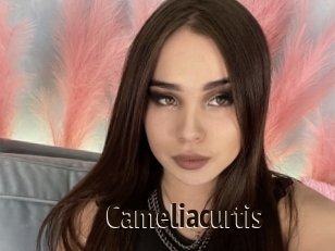 Cameliacurtis