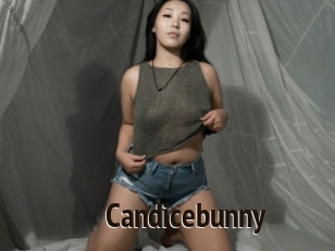 Candicebunny