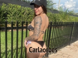 Carlaorbes
