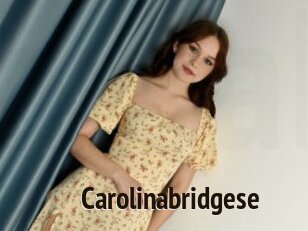 Carolinabridgese