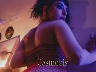 Cosmosis