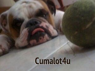 Cumalot4u