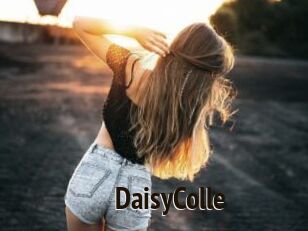 DaisyColle