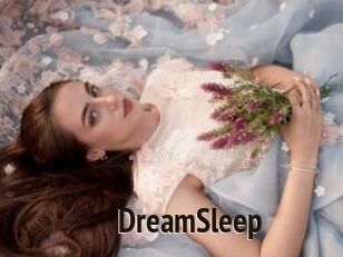 DreamSleep